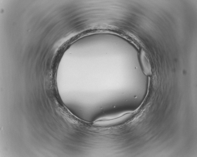 X0000057090971200510071907