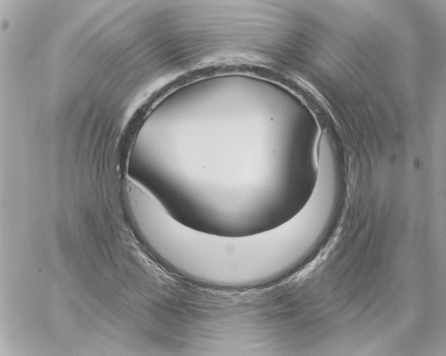 X0000057090973200510071907