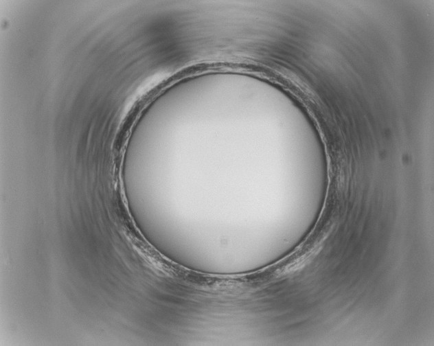 X0000057090974200510071907