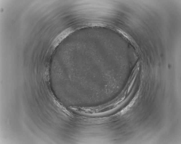 X0000057090977200510071907