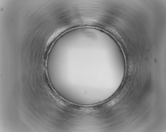 X0000057090978200510071907