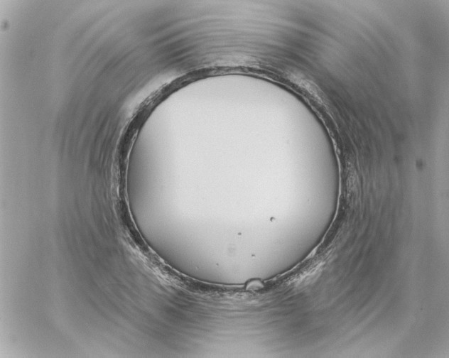 X0000057090979200510071907