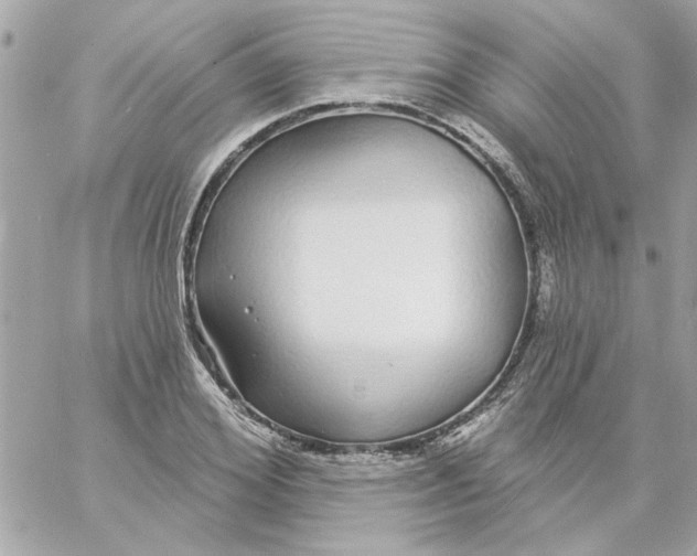 X0000057090980200510071907