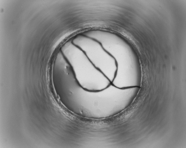 X0000057090983200510071907