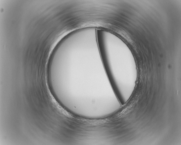 X0000057090984200510071907