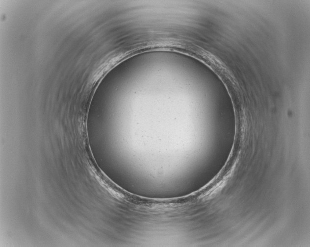 X0000057090985200510071907