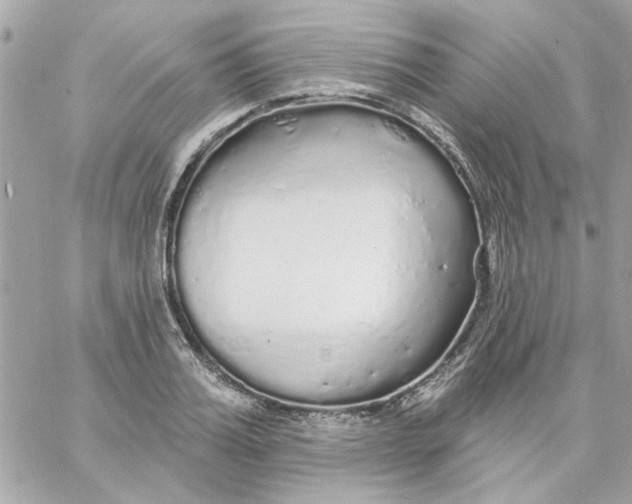 X0000057090987200510071906