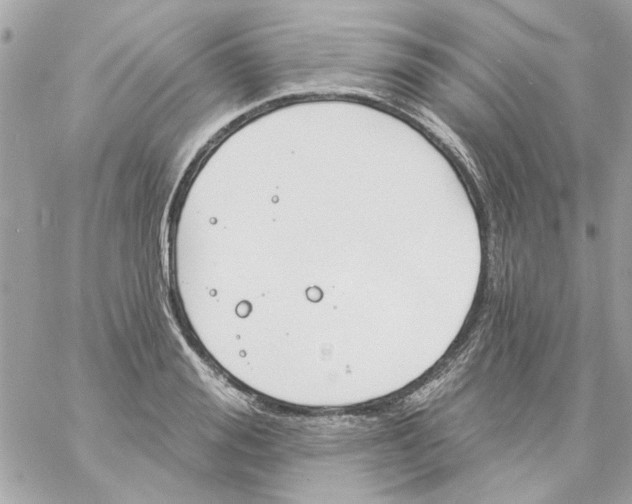 X0000057090988200510071906