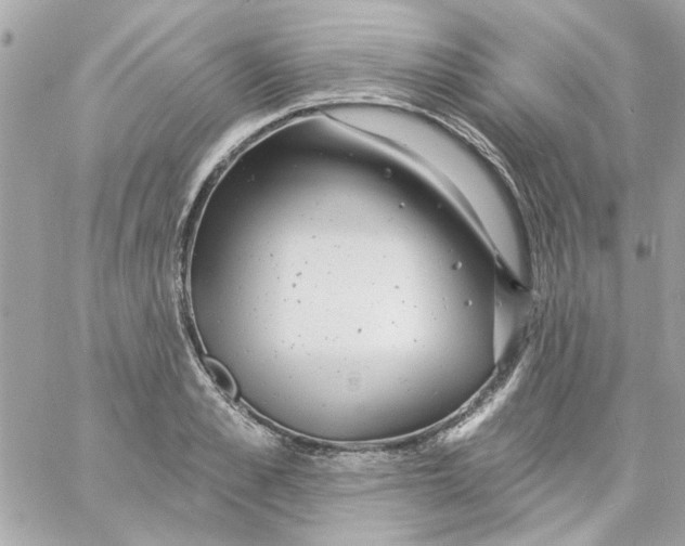 X0000057090989200510071906