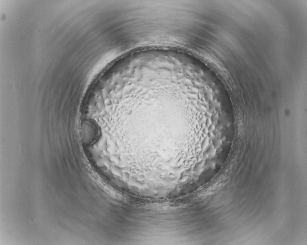 X0000057090990200510071906