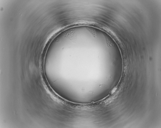 X0000057090991200510071906