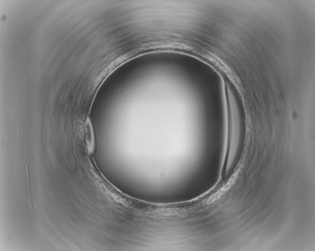 X0000057090993200510071906