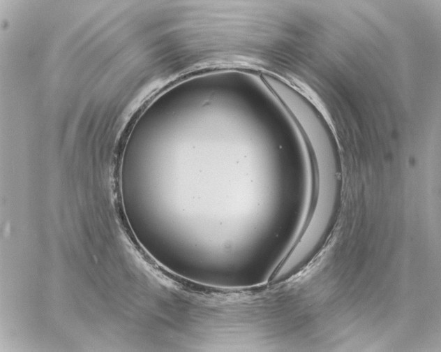 X0000057090997200510071906