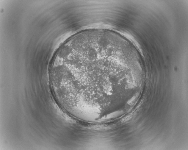 X0000057090998200510071906