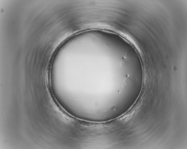 X0000057090999200510071906