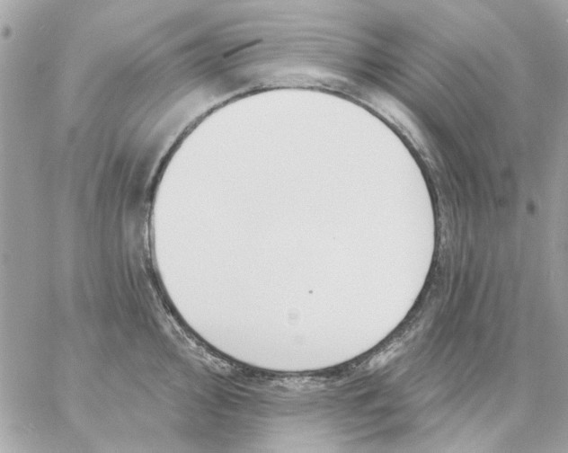 X0000057091000200510071906