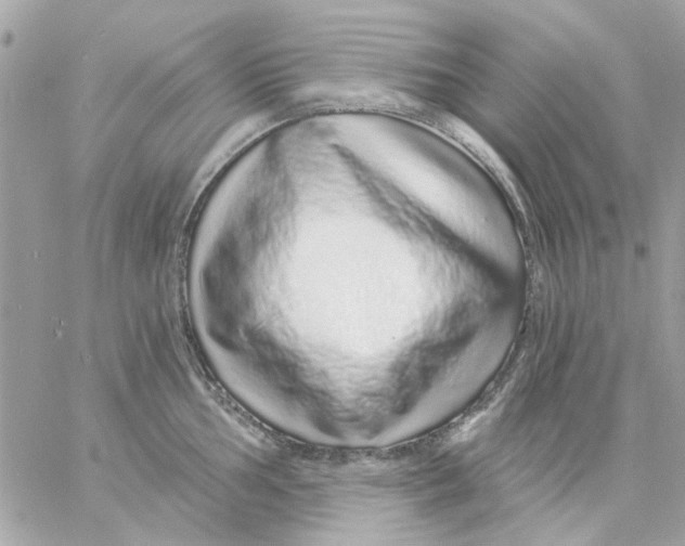 X0000057091002200510071906