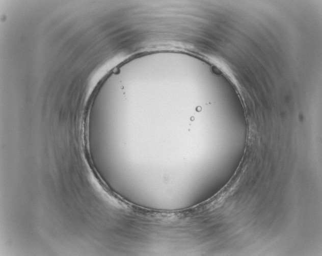 X0000057091003200510071906