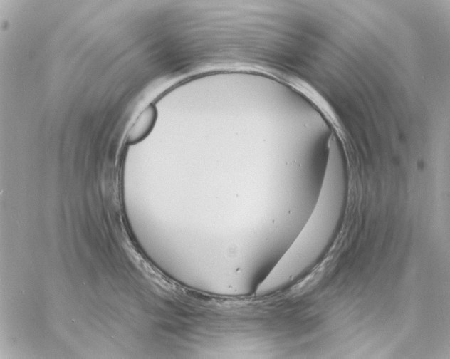 X0000057091004200510071906