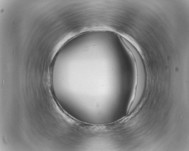 X0000057091006200510071906