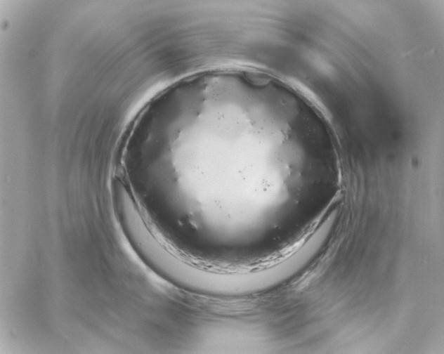 X0000057091007200510071906