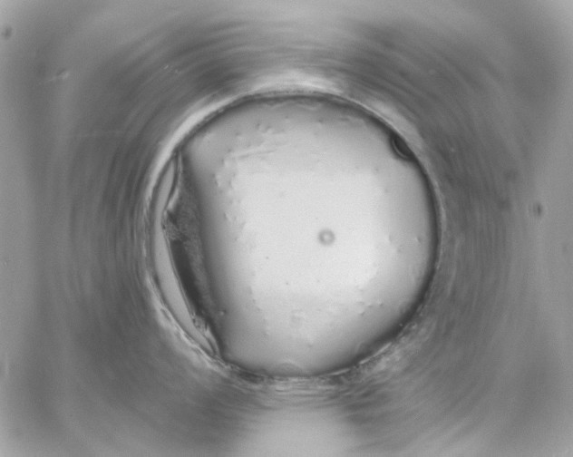 X0000057091008200510071906