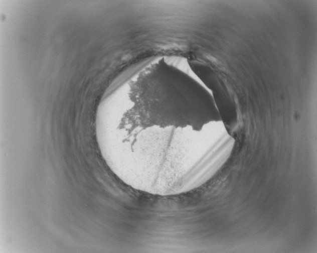 X0000057091009200510071905