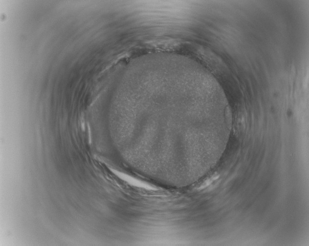 X0000057091010200510071905