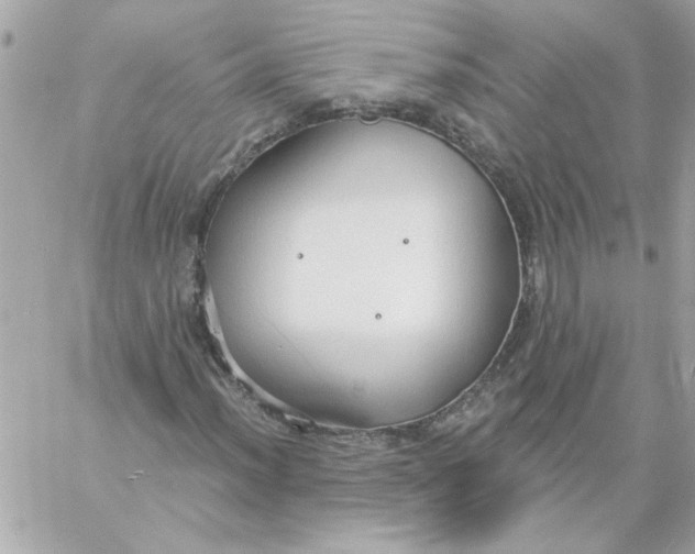 X0000057091012200510071905