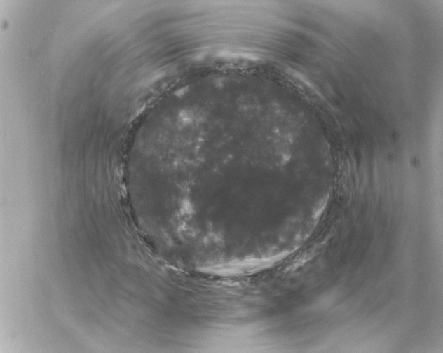 X0000057091013200510071905