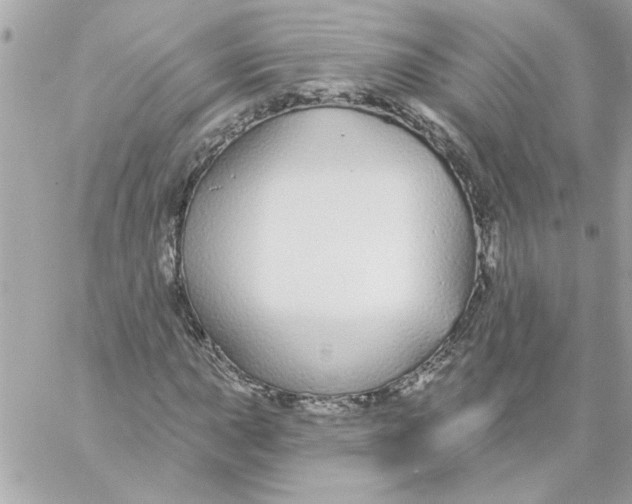 X0000057091015200510071905