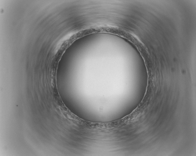 X0000057091016200510071905