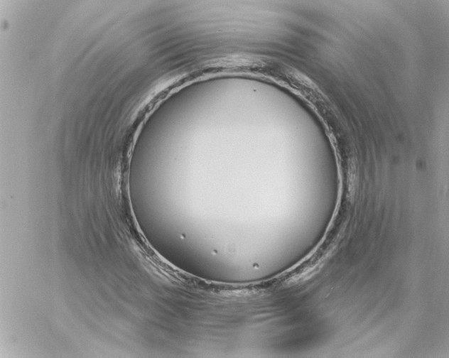 X0000057091017200510071905