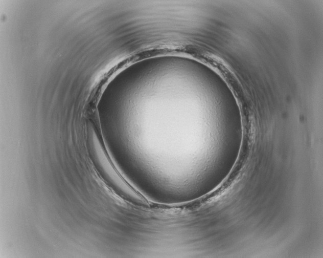 X0000057091018200510071905