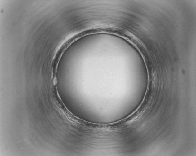 X0000057091021200510071906