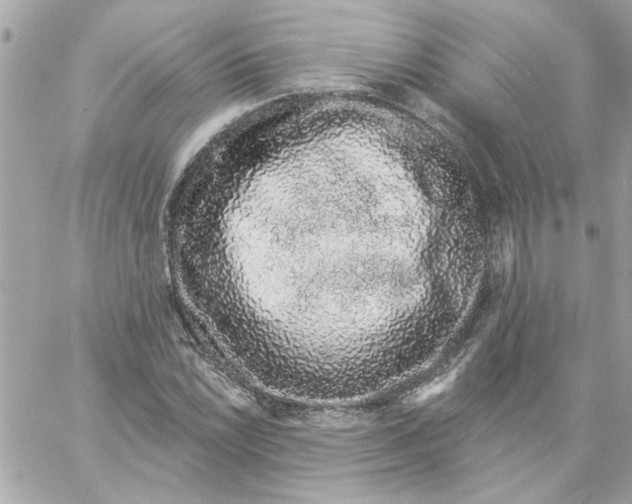 X0000057091022200510071906