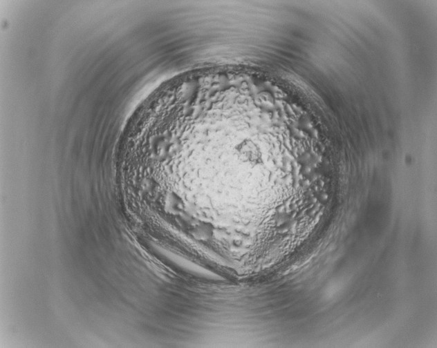 X0000057091023200510071906