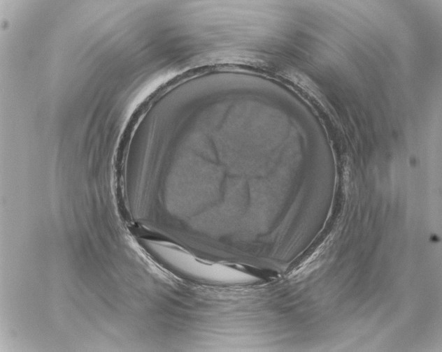 X0000057091024200510071906