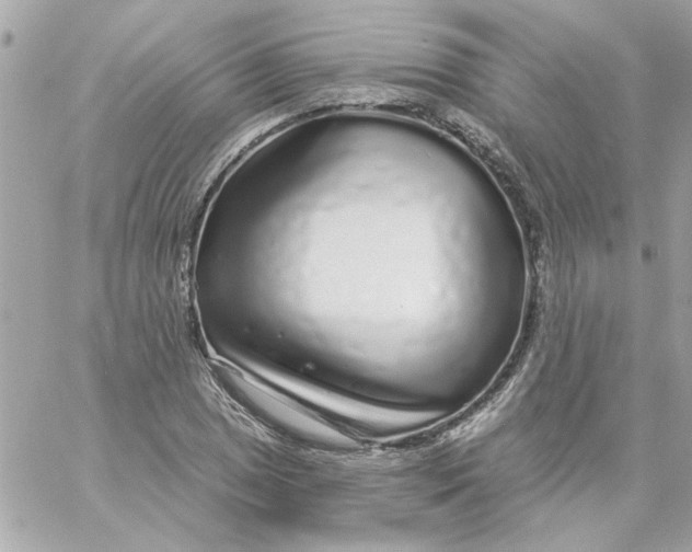 X0000057091025200510071906