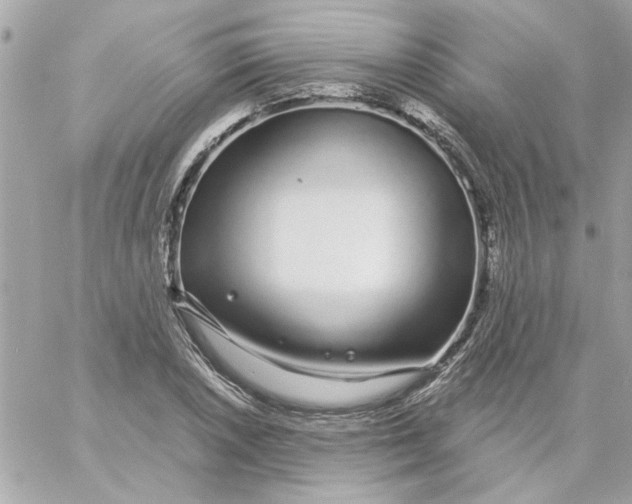 X0000057091026200510071906