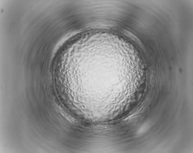 X0000057091027200510071906