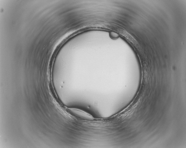 X0000057091028200510071906