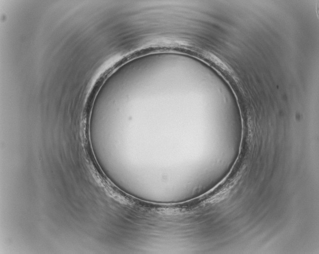 X0000057091029200510071906