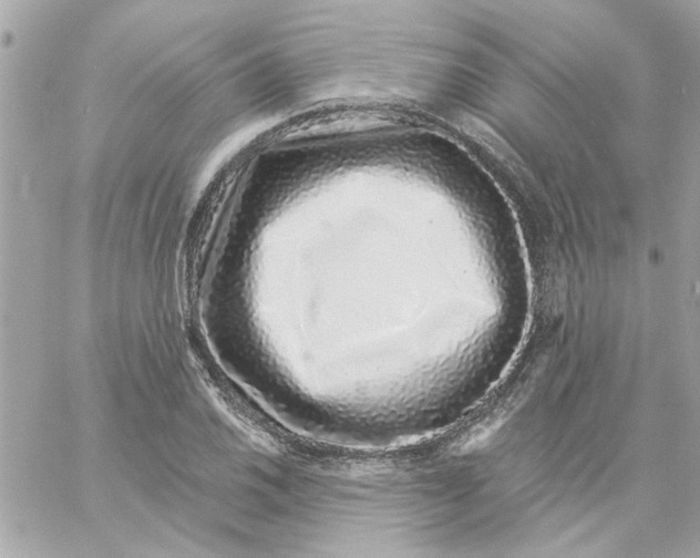 X0000057091030200510071906