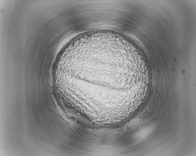 X0000057091031200510071906