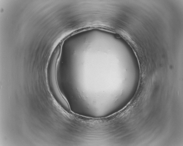 X0000057091032200510071906