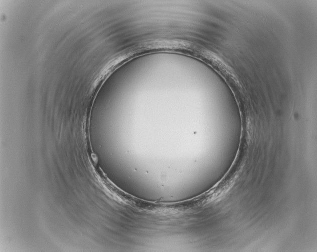 X0000057091033200510071906