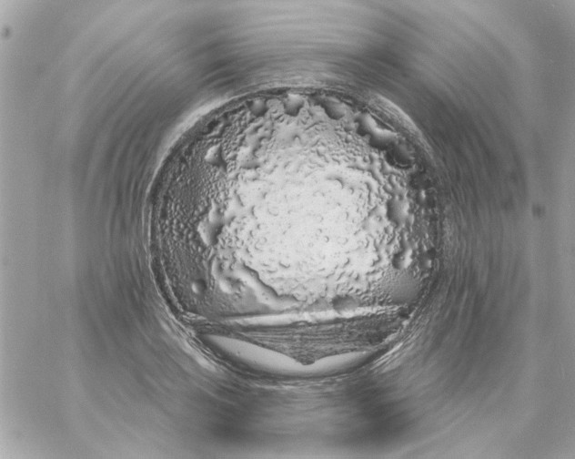 X0000057091035200510071906