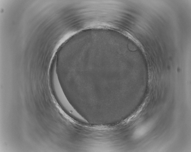 X0000057091037200510071906