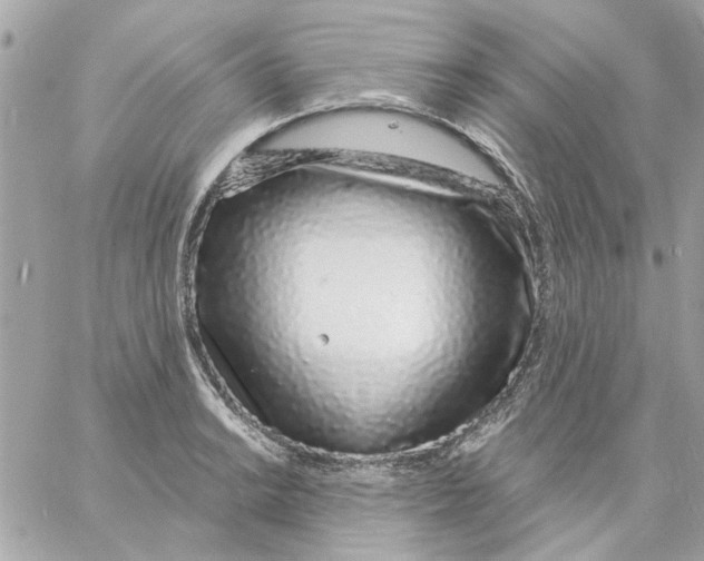 X0000057091038200510071906